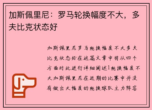 加斯佩里尼：罗马轮换幅度不大，多夫比克状态好