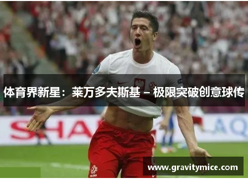 体育界新星：莱万多夫斯基 – 极限突破创意球传